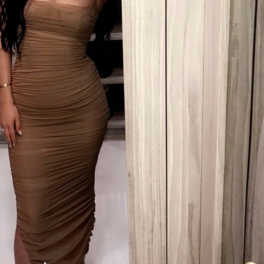 FORNARINA TAN ORGANZA MESH MAXI DRESS